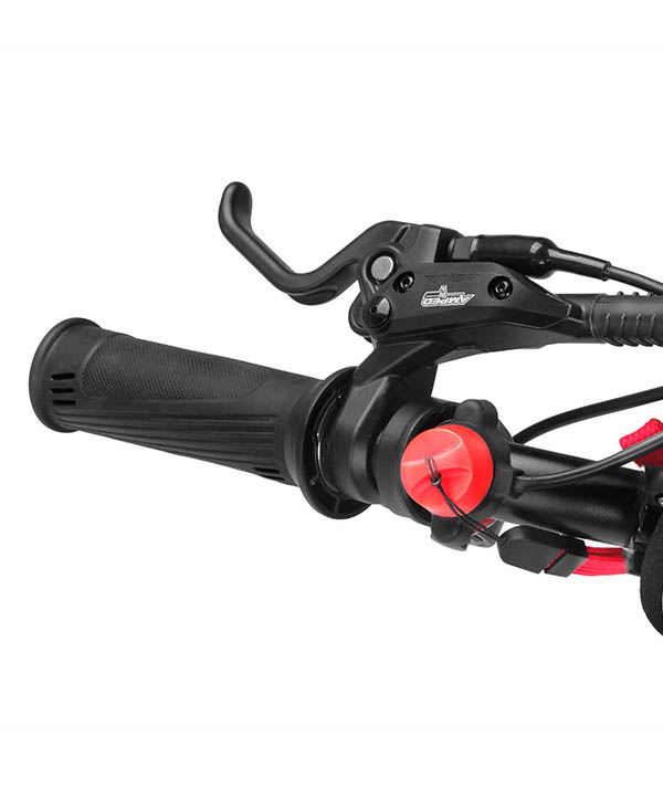 A16Pro-Spec-SafetyLanyardandBrakeCutOutSwitch